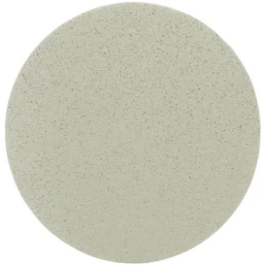 TRIZAC DISCS 150 MM P3000