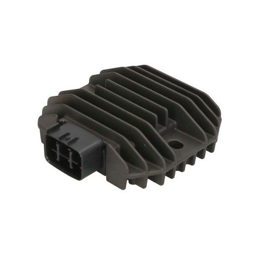 REGULATORS/TAISNGRIEZIS TOURMAX RGU-210