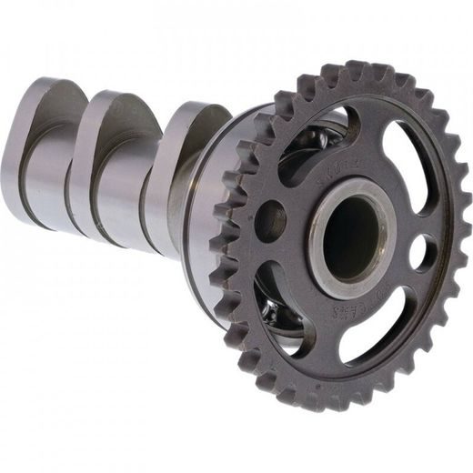 SADALES VĀRPSTAS IEPLŪDE HOT CAMS 4054-2IN