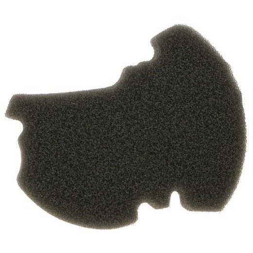 GAISA FILTRS NYPSO 100602561