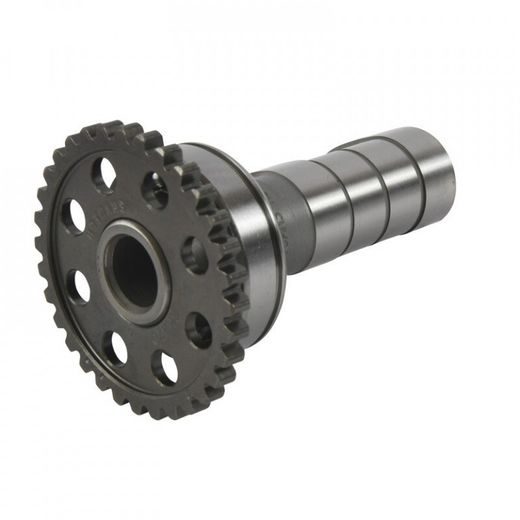 SADALES VĀRPSTAS IEPLŪDE HOT CAMS 4324-1IN