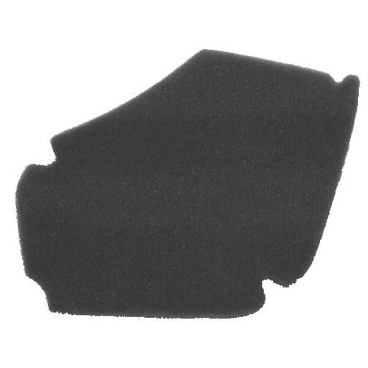 GAISA FILTRS NYPSO 100600431