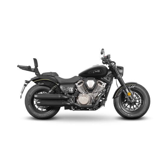 ATZVELTNE SHAD B0CH55SN SISSY BAR