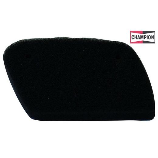 GAISA FILTRS CHAMPION Y318 100600045