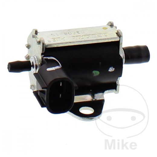 EĻĻAS SŪKNIS DELLORTO