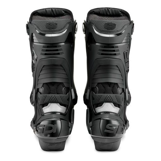 APAVI SIDI REX (MELNS)