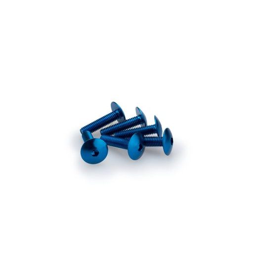 SKRŪVES PUIG ANODIZED 0689A ZILS M6 X 25MM (6PCS)