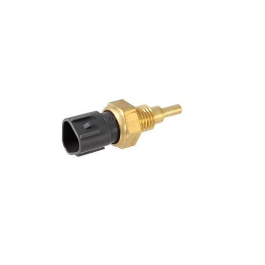 ŪDENS TEMPERATŪRAS SENSORS RMS 100120780