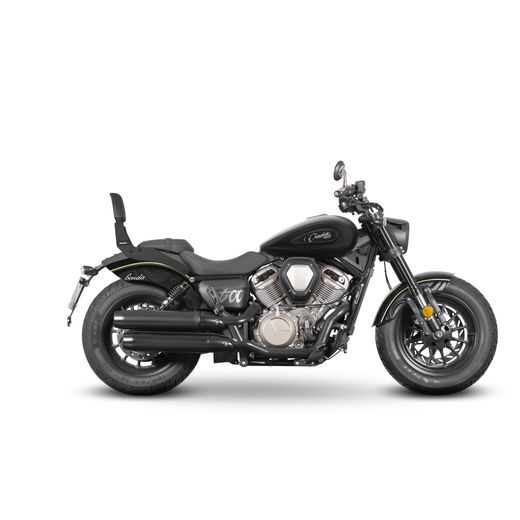 ATZVELTNE SHAD B0CH55SN SISSY BAR