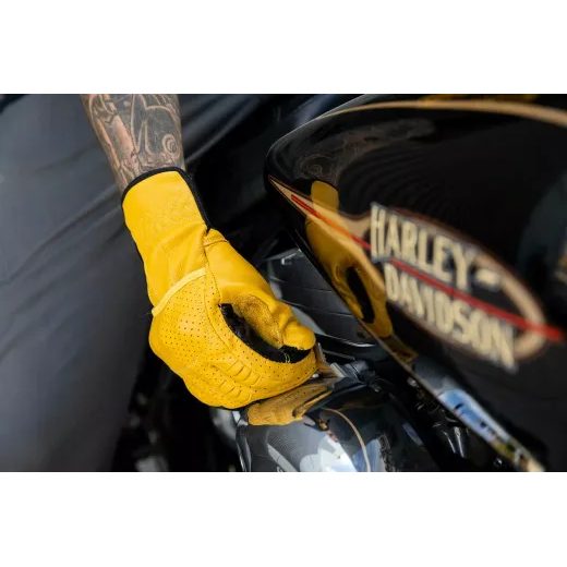 CIMDI BORREGO GLOVES (DZELTENS)