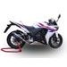 SLIP-ON EXHAUST GPR GP EVO4 POPPY E4.H.254.1.GPAN.PO CARBON LOOK