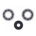 CRANKSHAFT REBUILDING KIT ATHENA P400210444139 (BEARING AND OIL SEAL KIT)