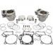 STANDARD BORE CYLINDER KIT CYLINDER WORKS 30007-K03HC