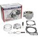 STANDARD BORE CYLINDER KIT CYLINDER WORKS 10010-K03HC