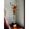 Sportovní pohár GL30 | Stolní tenis