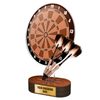 Akrylátová trofej TLR2023209 | Šipky