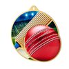 Metallmedaille MDM01M21 | Cricket