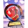 Kovová trofej SAM02M16 | Bojová umění