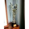 Sportovní pohár GL30 | Stolní tenis