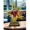 Akrylátová trofej STAR002M9 | Roztleskávačky