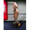 Akrylátová trofej TLR2023308 | Bojová umění