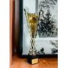 Sportovní pohár GL30 | Stolní tenis