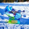 Acryltrophäe AWF M76 | Winter