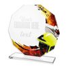 Skleněná trofej CR2024301M32 | Hasiči