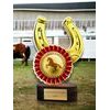 Akrylátová trofej TL2023224 | Jezdectví