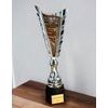 Sportovní pohár SL47 | Studium