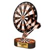 Akrylátová trofej TLR2023212 | Šipky