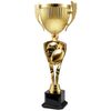 Trofej ACUPMR2026M27 | Americký fotbal