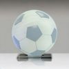 Akrylátová trofej AWF M48 | Fotbal