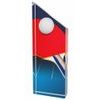 Akrylátová trofej ACC001M17 | Stolní tenis