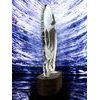 Akrylátová trofej TLR2023238 | Hasiči