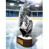 Akrylátová trofej TLR2023289 | Hokej