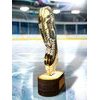 Akrylátová trofej TLR2023291 | Hokej