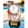 Akrylátová trofej TLR2023257 | Plavání