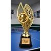 Designová trofej AVR1M31 | Stolní tenis