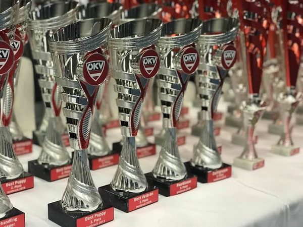 Zoznámte sa s typmi potlačí, ktoré si u nás môžete objednať