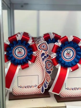 Embleme – alles, was Sie darüber wissen müssen