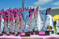 ocenění pro Výstavu psů v Klatovech