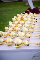 ocenění pro international dog show v Lotyšsku