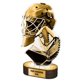Akrylátová trofej TLR2023288 | Hokej
