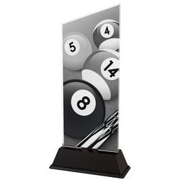 Akrylátová trofej CAS0166 | Billiard