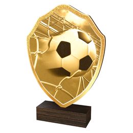 Holztafel TFRW309 | Fotbal