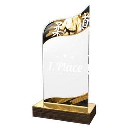 Akrylátová trofej WPLA586 | Bojová umění
