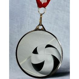 Kovová medaile MDLRMAXM49 | Volejbal