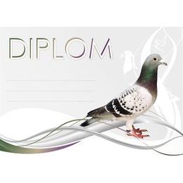Diplom DP0037