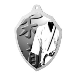 Kovová medaile MDMR02M21 | Bojová umění
